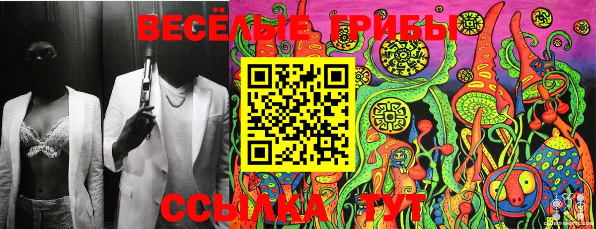 Галлюциногенные грибы Cubensis Магнитогорск